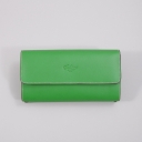 Boldrini, , 293-verde